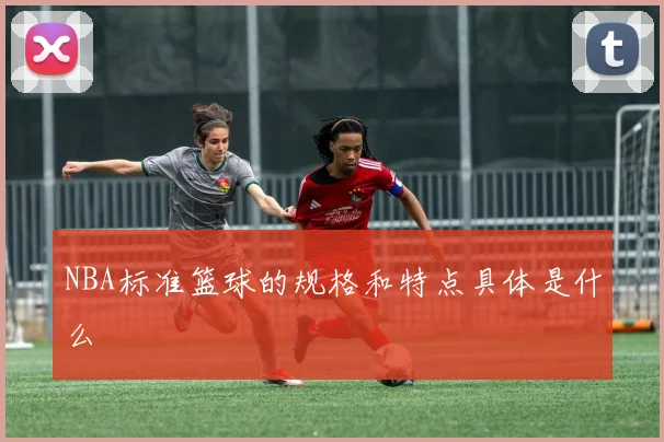 NBA标准篮球的规格和特点具体是什么