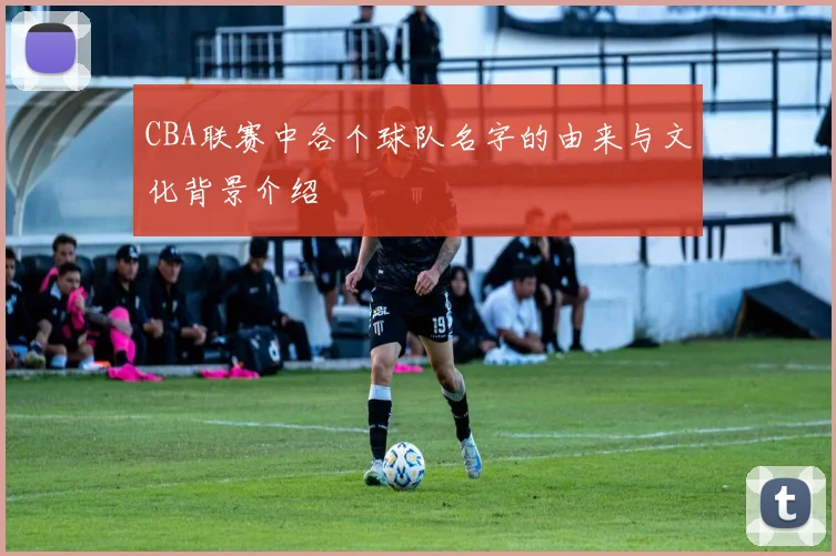 CBA联赛中各个球队名字的由来与文化背景介绍