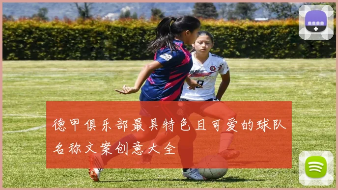 德甲俱乐部最具特色且可爱的球队名称文案创意大全