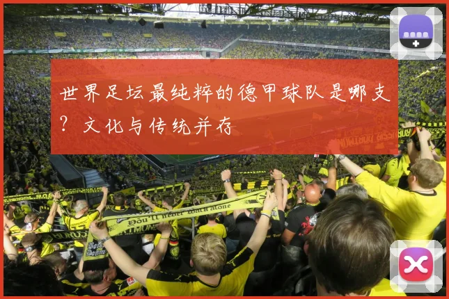 世界足坛最纯粹的德甲球队是哪支？文化与传统并存