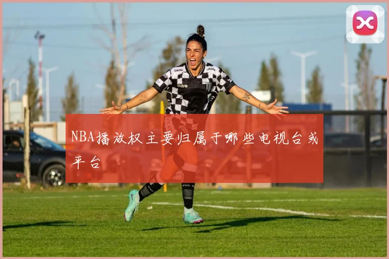 NBA播放权主要归属于哪些电视台或平台