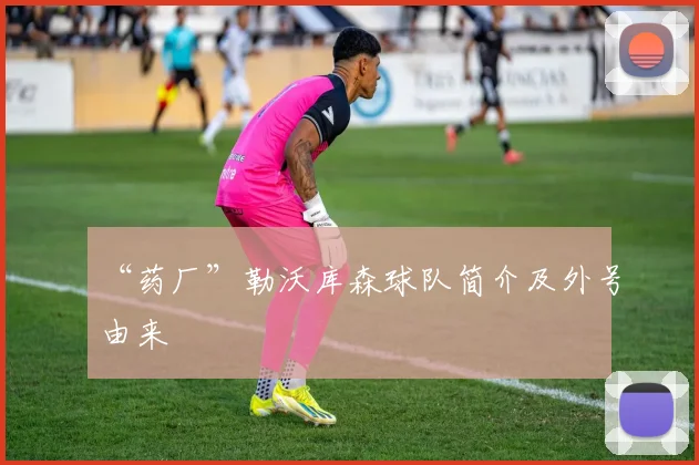 “药厂”勒沃库森球队简介及外号由来